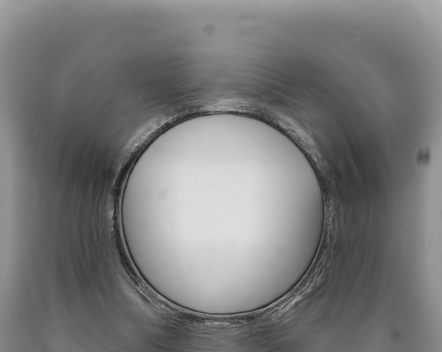 X0000090890298200707271044