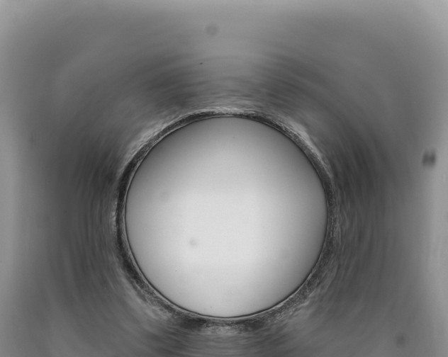 X0000090890299200707271044