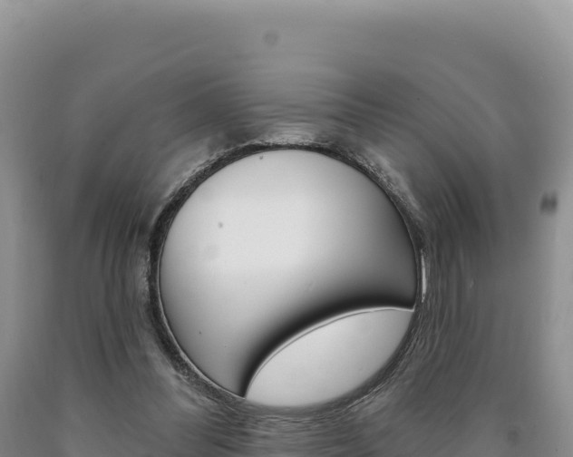 X0000090890300200707271044