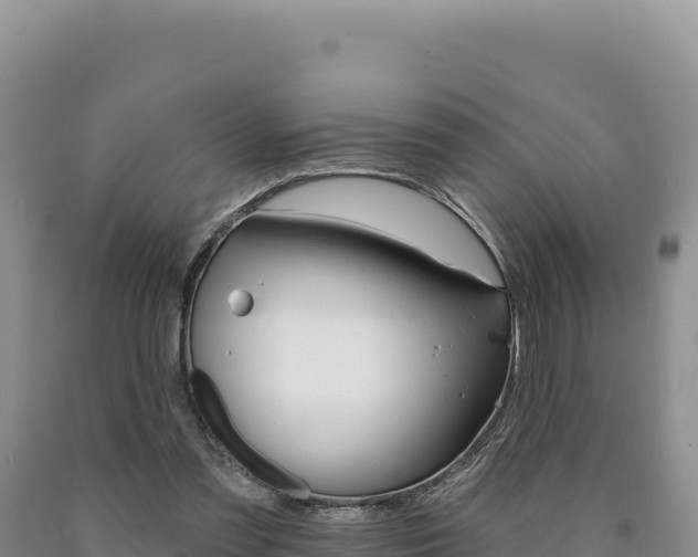 X0000090890301200707271044