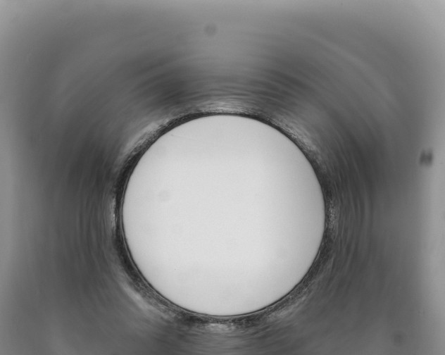 X0000090890302200707271044