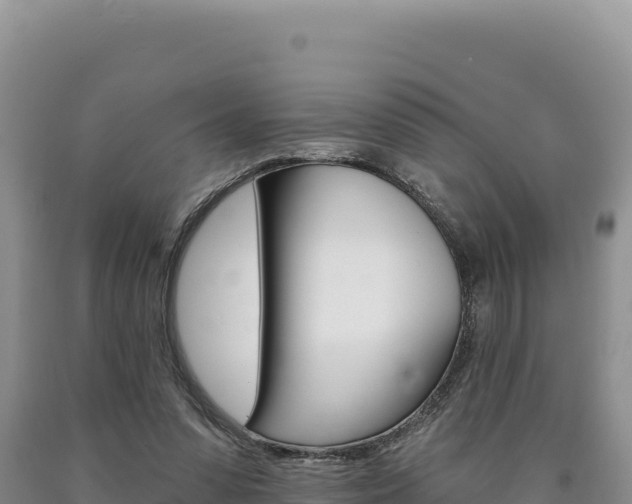 X0000090890303200707271044