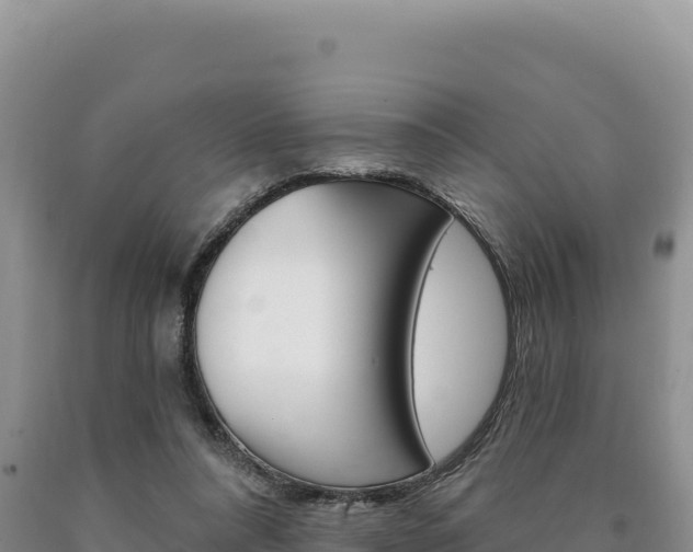 X0000090890304200707271044