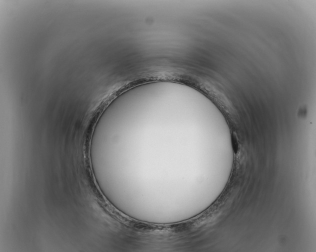 X0000090890306200707271044