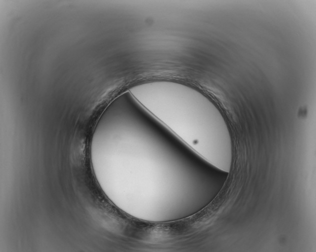 X0000090890308200707271044