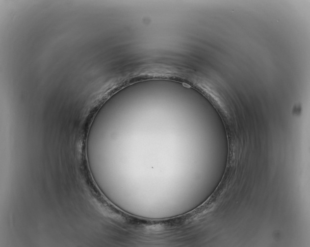 X0000090890309200707271044