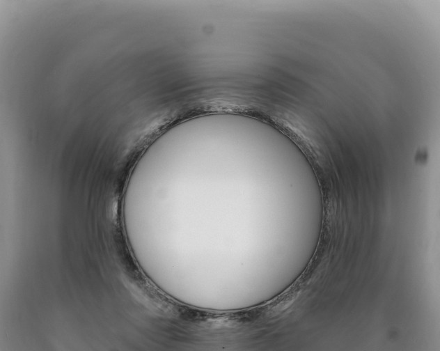 X0000090890310200707271044