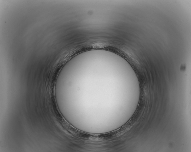X0000090890311200707271044