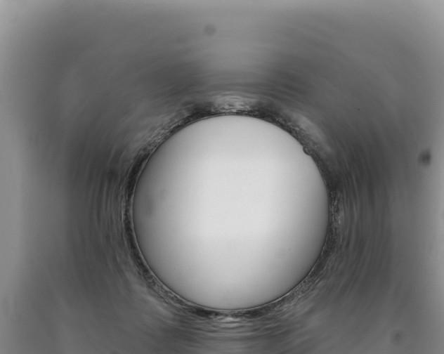 X0000090890315200707271044