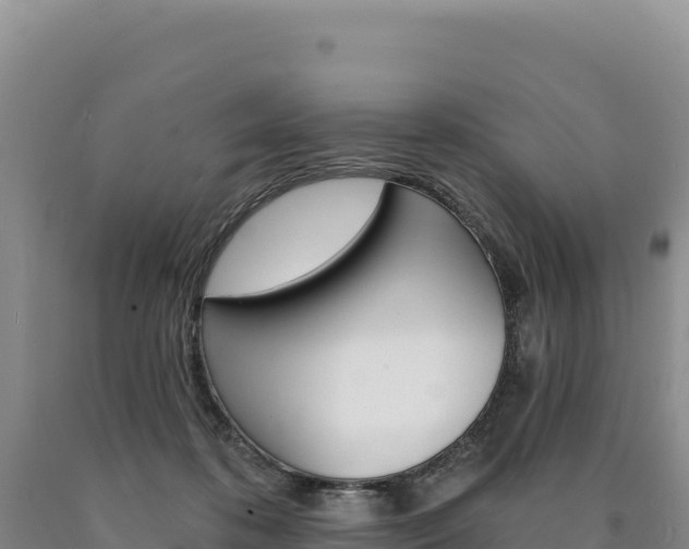 X0000090890316200707271044