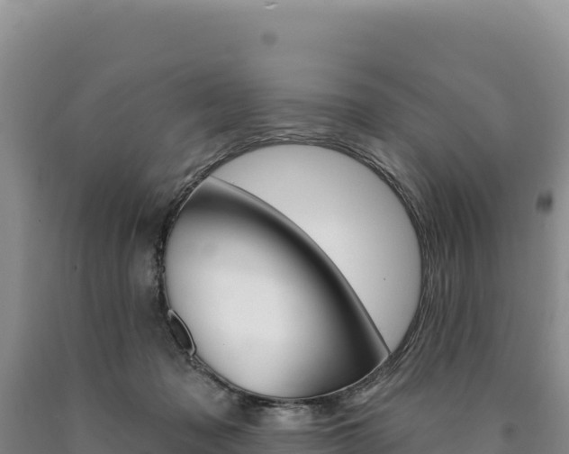 X0000090890317200707271044