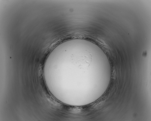 X0000090890318200707271044