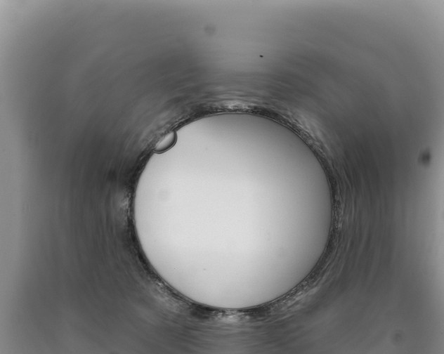 X0000090890321200707271044