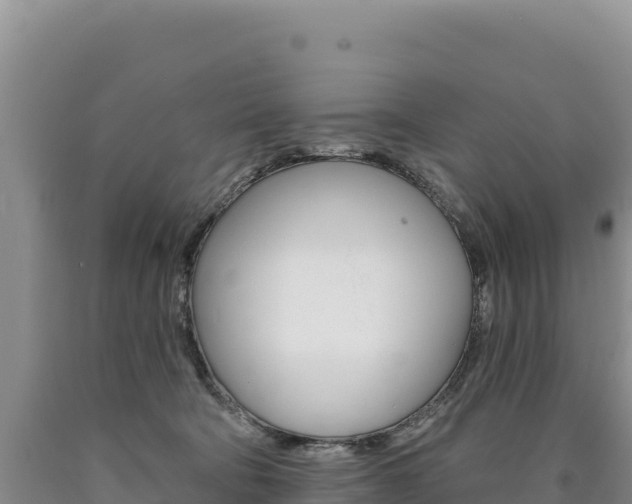 X0000090890322200707271044