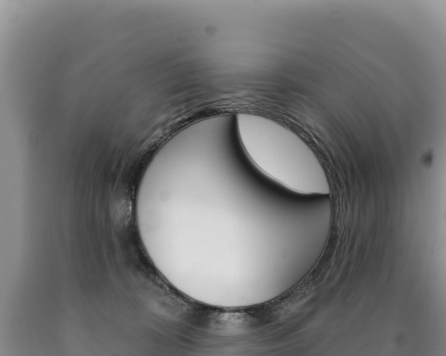 X0000090890324200707271044