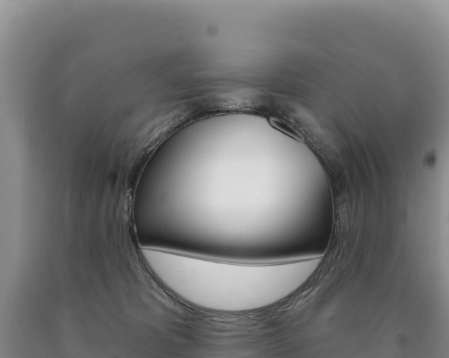 X0000090890325200707271044