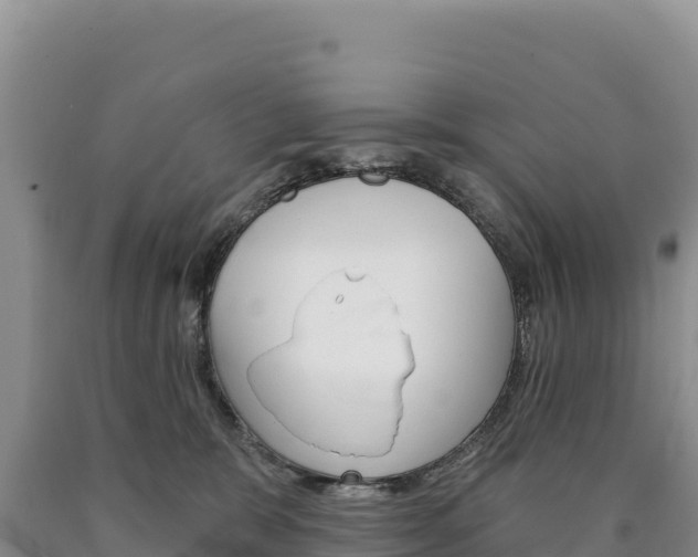 X0000090890327200707271044