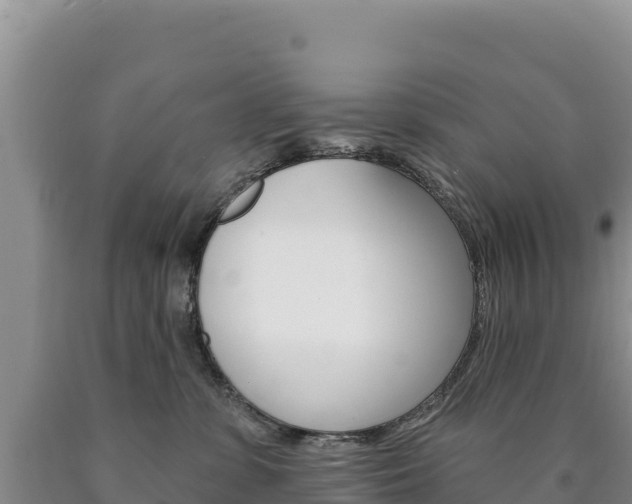 X0000090890331200707271044