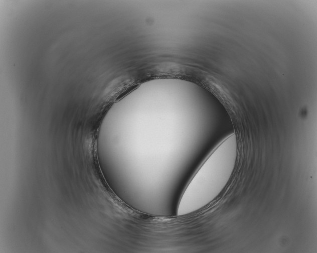 X0000090890333200707271044