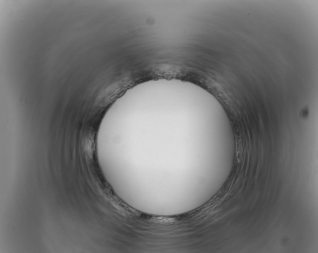 X0000090890334200707271044
