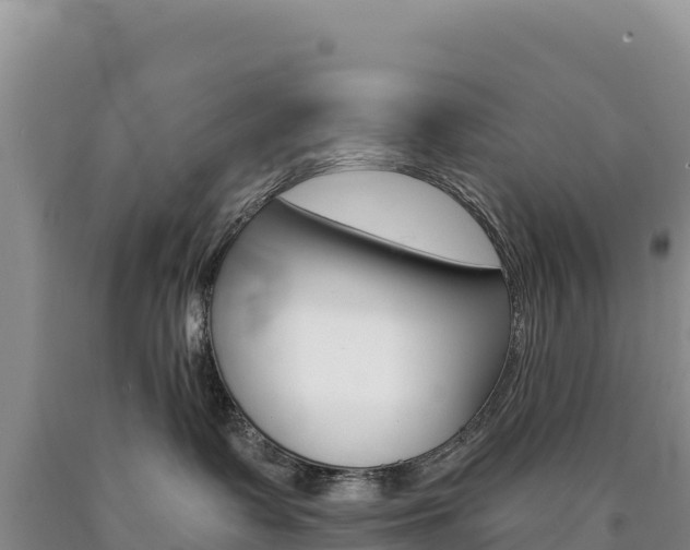 X0000090890335200707271044
