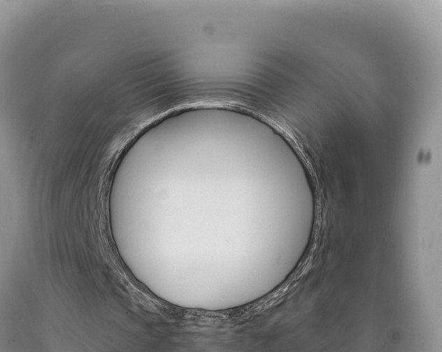 X0000090890337200707271043