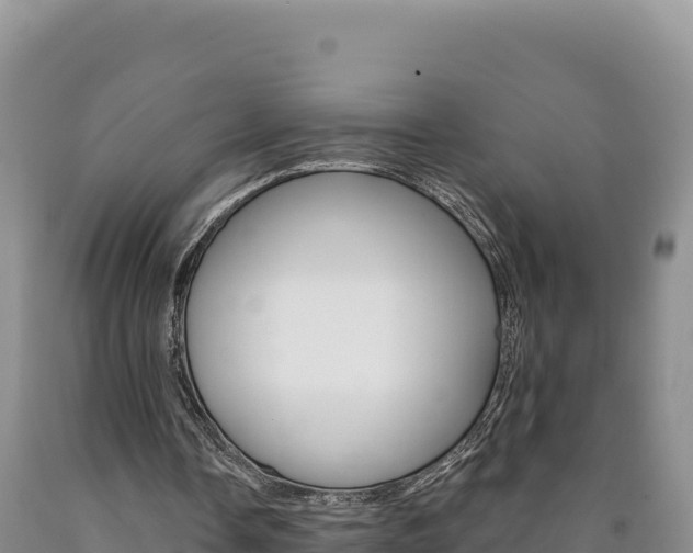 X0000090890338200707271043
