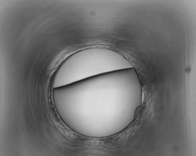 X0000090890339200707271043