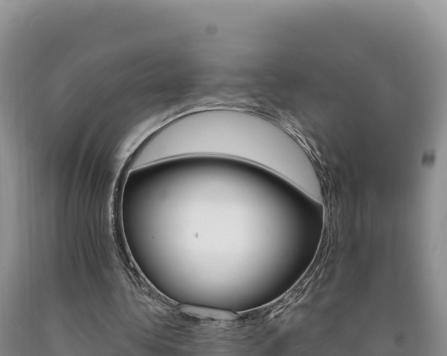 X0000090890340200707271043
