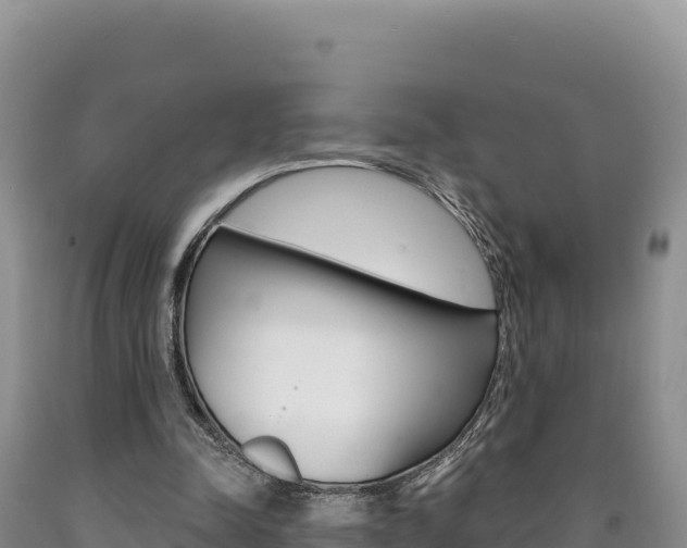 X0000090890342200707271043