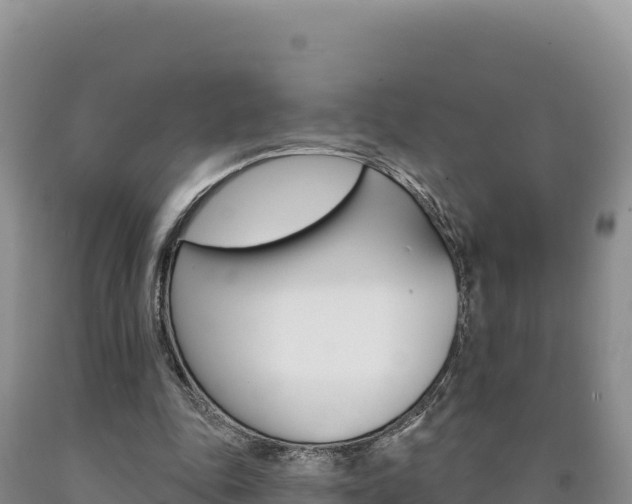 X0000090890343200707271043