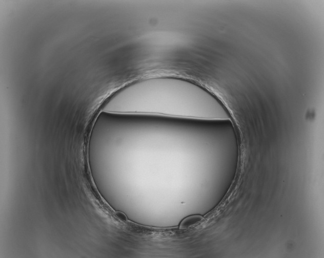 X0000090890345200707271043