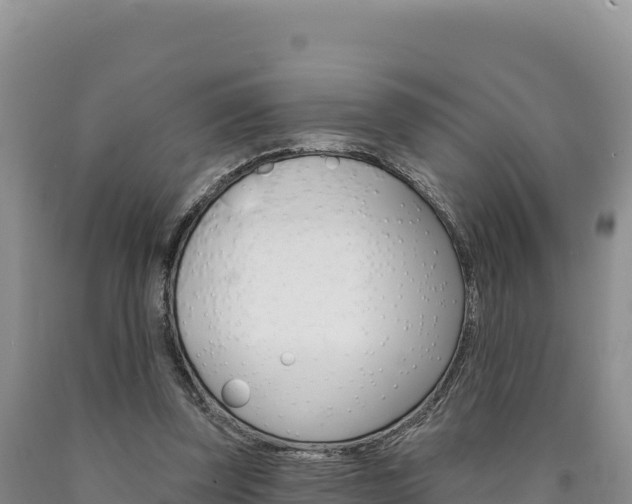 X0000090890347200707271043