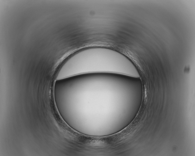 X0000090890348200707271043
