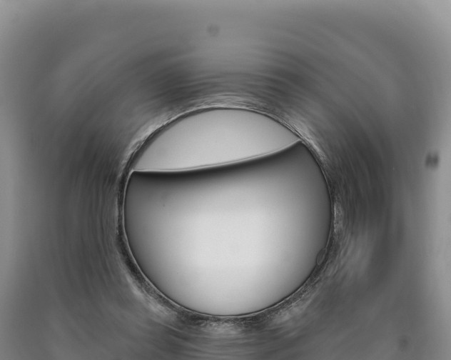 X0000090890349200707271043