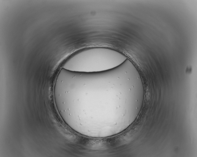 X0000090890351200707271043