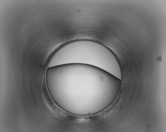 X0000090890352200707271043