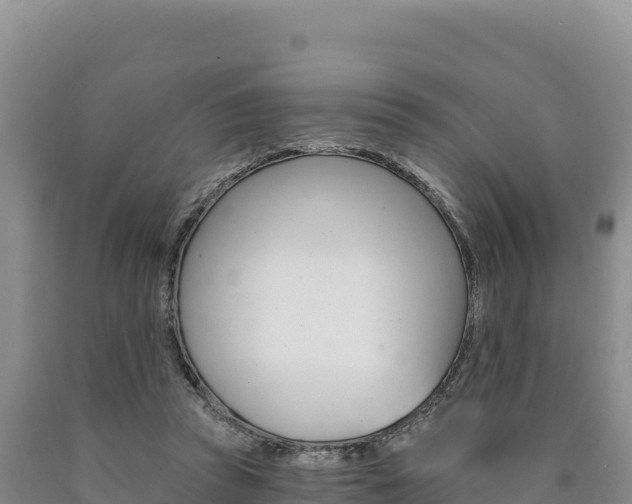 X0000090890353200707271043