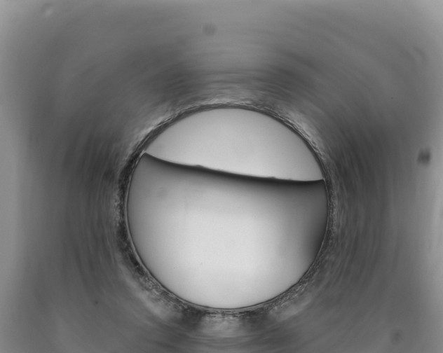 X0000090890354200707271043