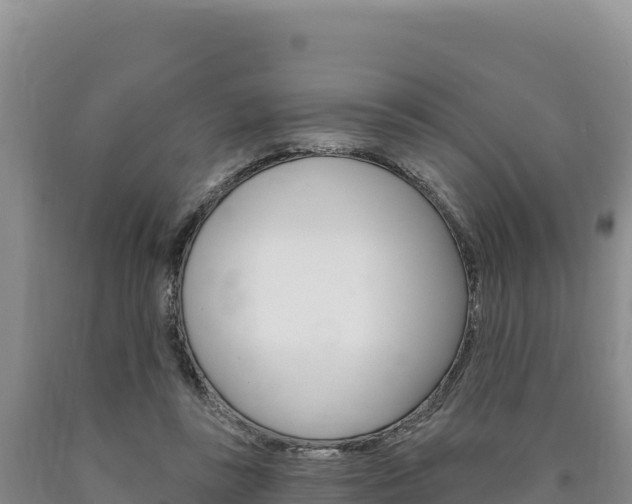 X0000090890355200707271043