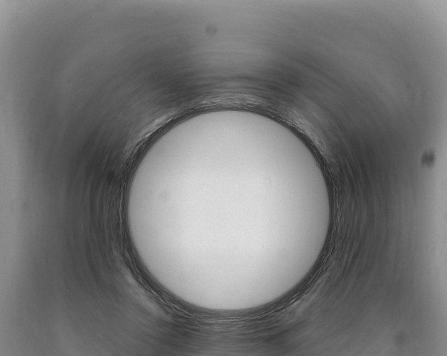 X0000090890356200707271043
