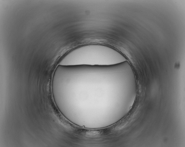 X0000090890357200707271043