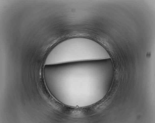 X0000090890358200707271043