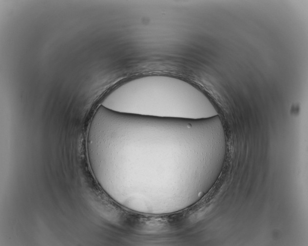 X0000090890359200707271043
