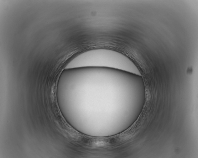 X0000090890360200707271043