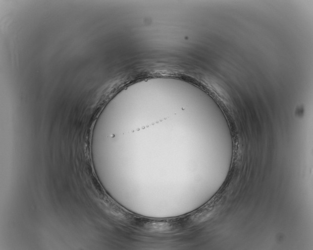 X0000090890361200707271043