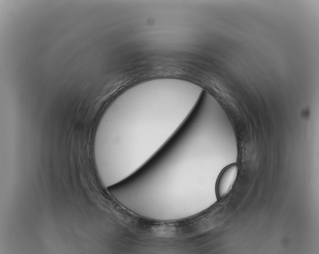 X0000090890362200707271043