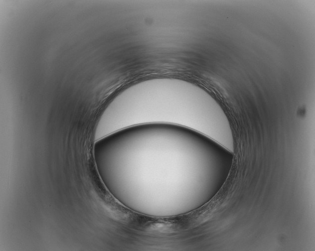 X0000090890364200707271043