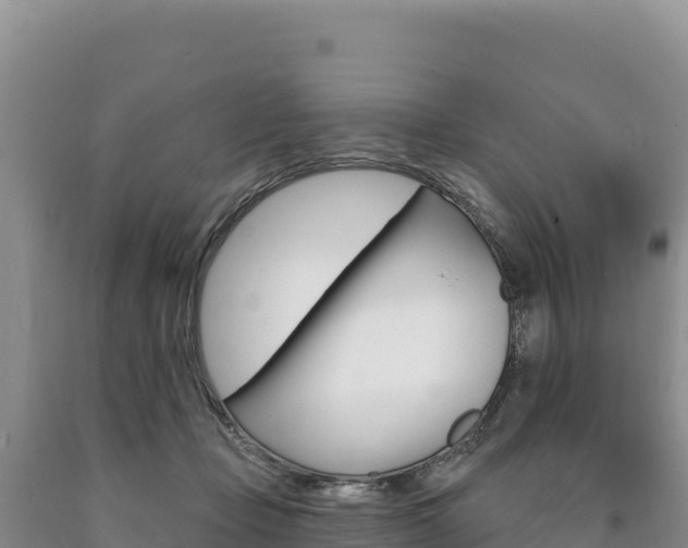 X0000090890365200707271043