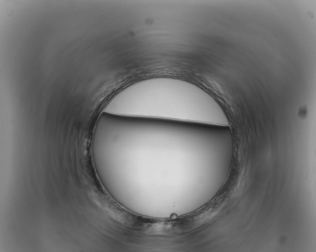 X0000090890366200707271043